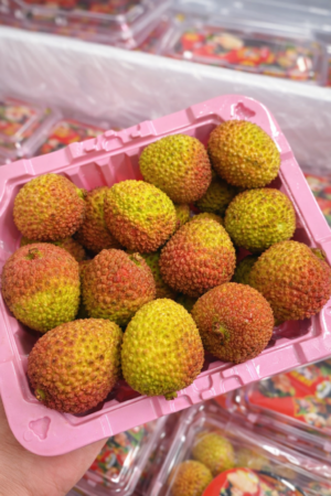 LYCHEE
