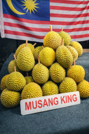 MUSANG KING